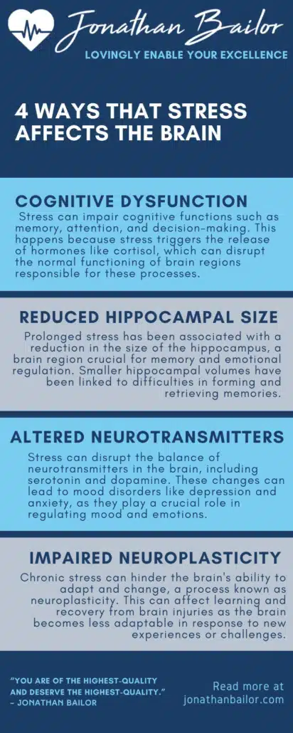 4 Ways the Stress Affects the Brain - Jonathan Bailor