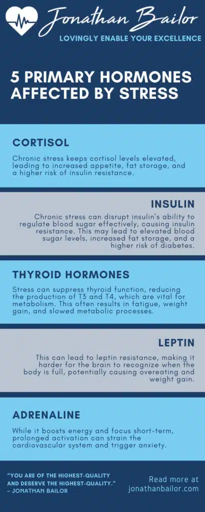 5 Primary Hormones Affected by Stress Infographic